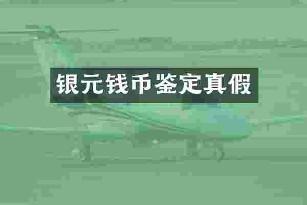 银元钱币鉴定真假