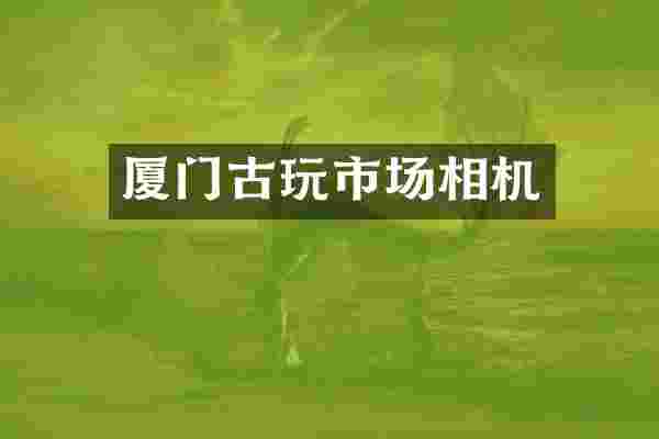 厦门古玩市场相机