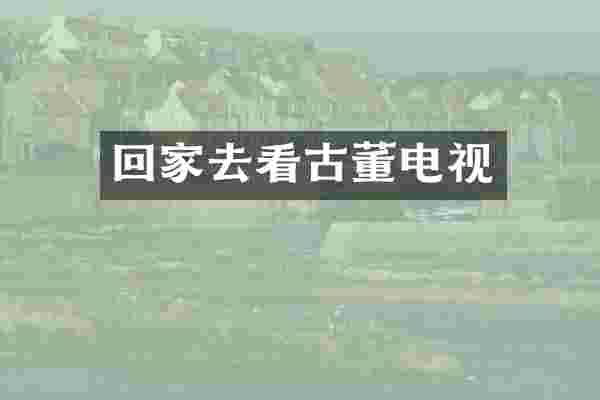 回家去看古董电视