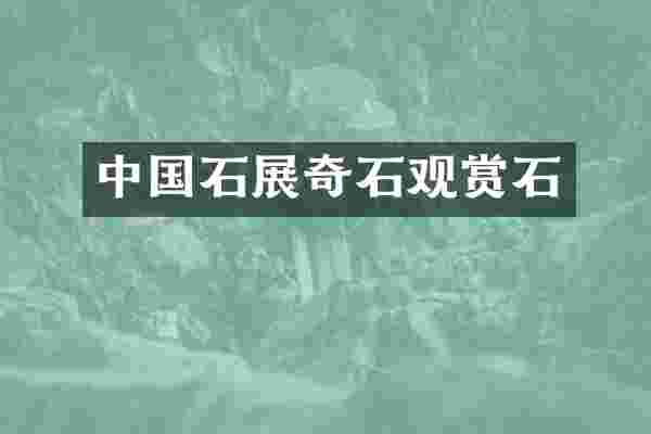 中国石展奇石观赏石
