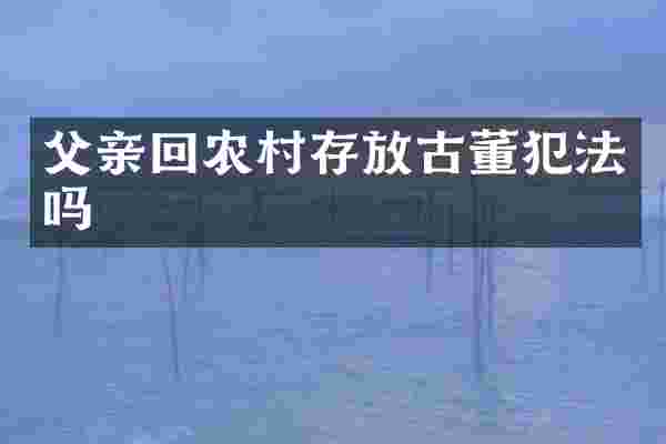 父亲回农村存放古董犯法吗