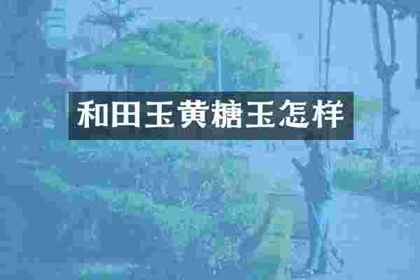 和田玉黄糖玉怎样