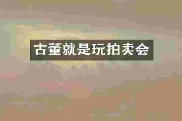 古董就是玩拍卖会