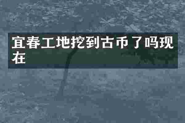 宜春工地挖到古币了吗现在