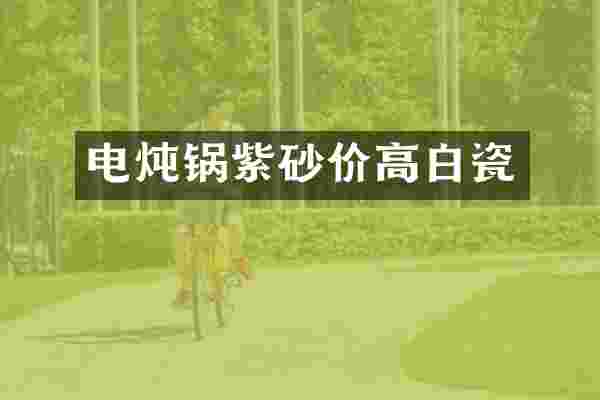 电炖锅紫砂价高白瓷