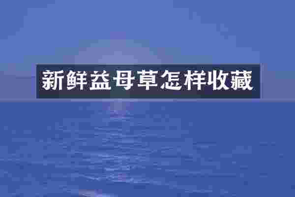 新鲜益母草怎样收藏
