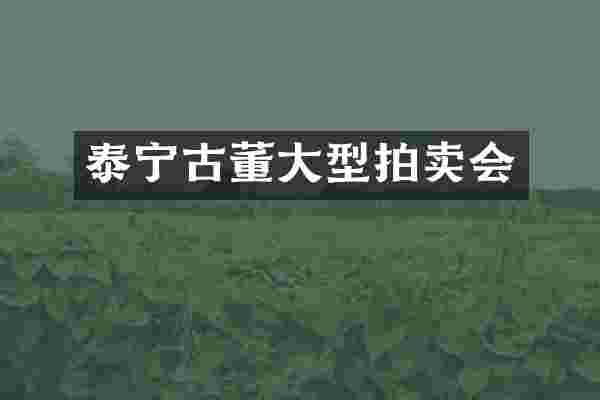 泰宁古董大型拍卖会