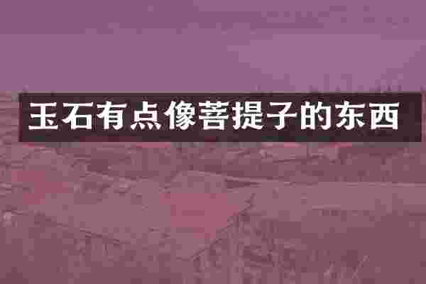 玉石有点像菩提子的东西
