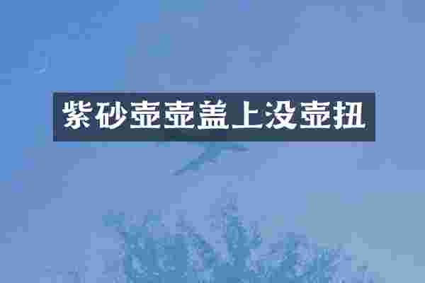 紫砂壶壶盖上没壶扭