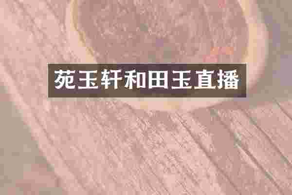 苑玉轩和田玉直播
