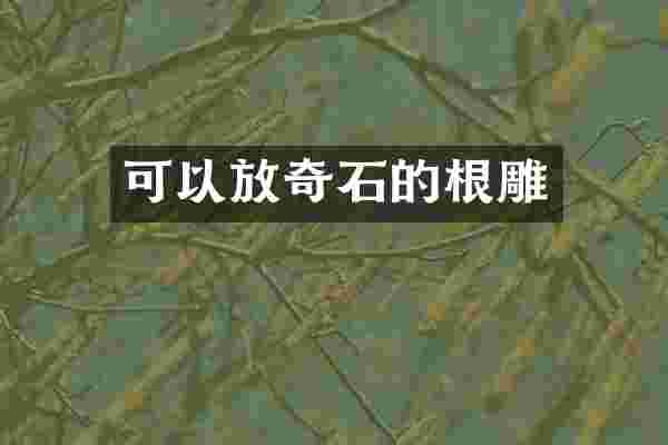 可以放奇石的根雕