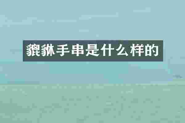 貔貅手串是什么样的