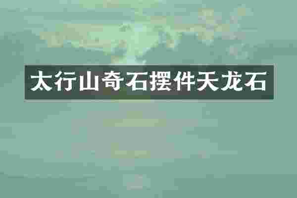 太行山奇石摆件天龙石
