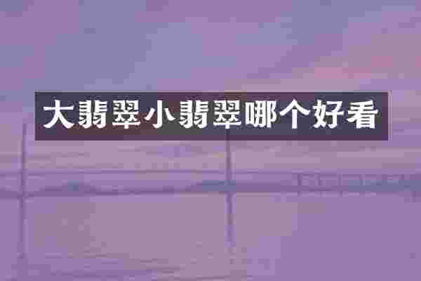 大翡翠小翡翠哪个好看