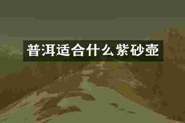 普洱适合什么紫砂壶