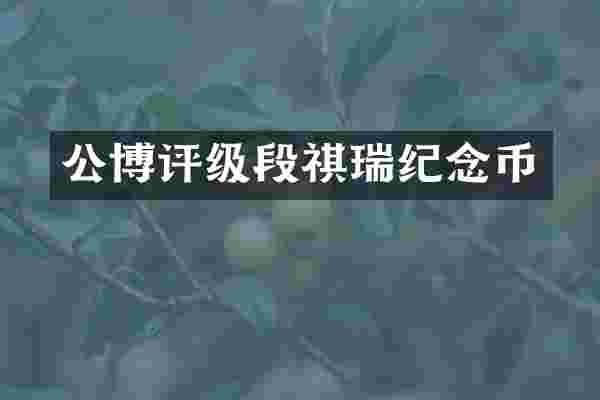 公博评级段祺瑞纪念币