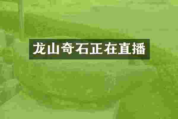 龙山奇石正在直播