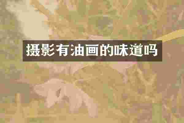 摄影有油画的味道吗