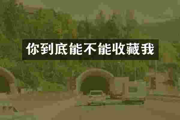你到底能不能收藏我