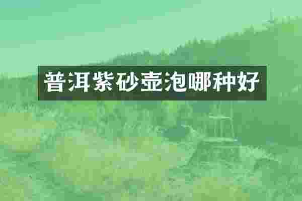 普洱紫砂壶泡哪种好