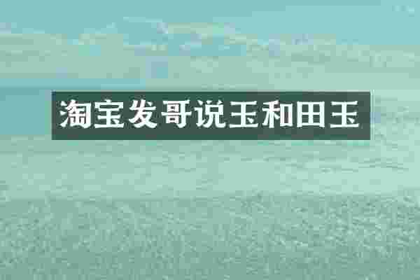 淘宝发哥说玉和田玉