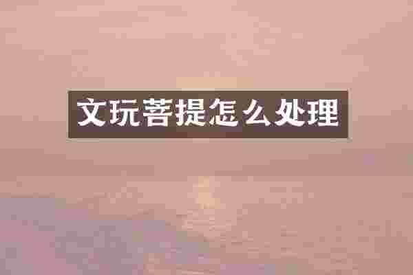 文玩菩提怎么处理