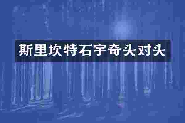 斯里坎特石宇奇头对头