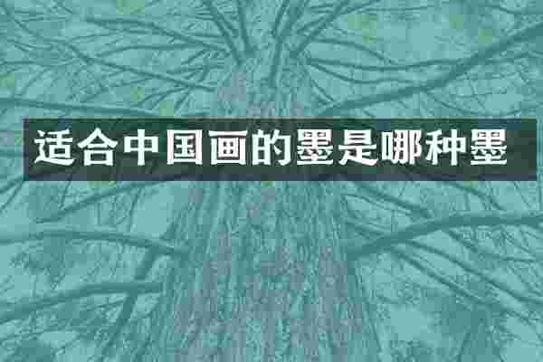 适合中国画的墨是哪种墨