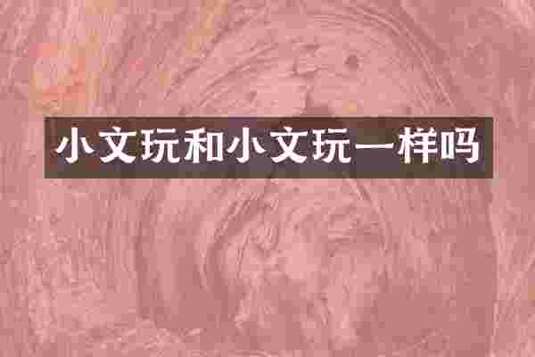 小文玩和小文玩一样吗