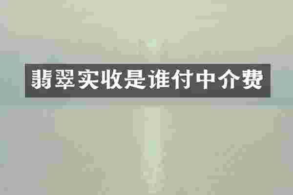 翡翠实收是谁付中介费