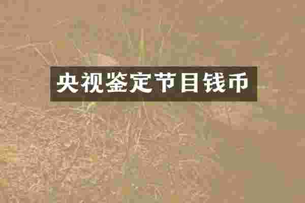 央视鉴定节目钱币