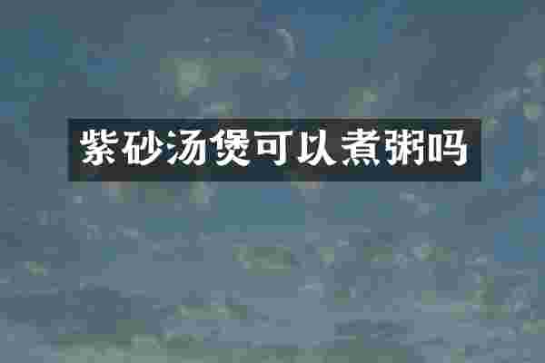紫砂汤煲可以煮粥吗