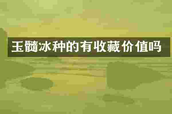 玉髓冰种的有收藏价值吗