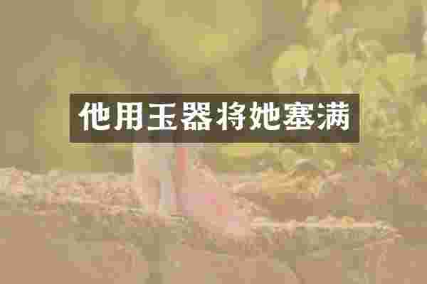 他用玉器将她塞满