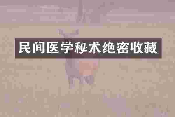 民间医学秘术绝密收藏
