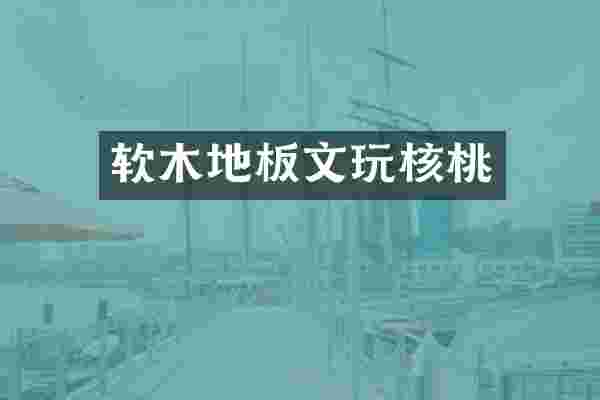 软木地板文玩核桃