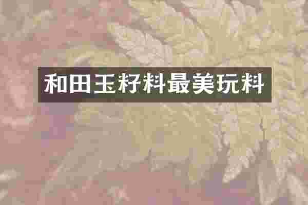 和田玉籽料最美玩料