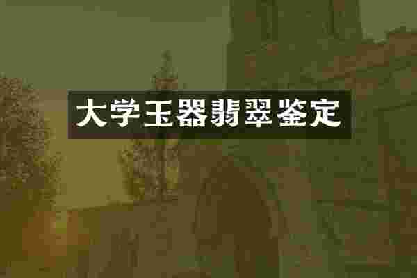 大学玉器翡翠鉴定