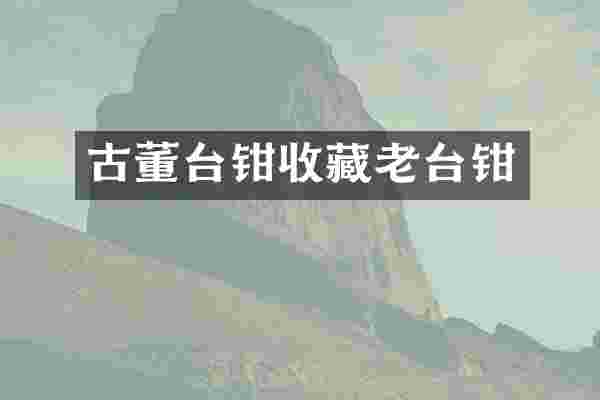 古董台钳收藏老台钳