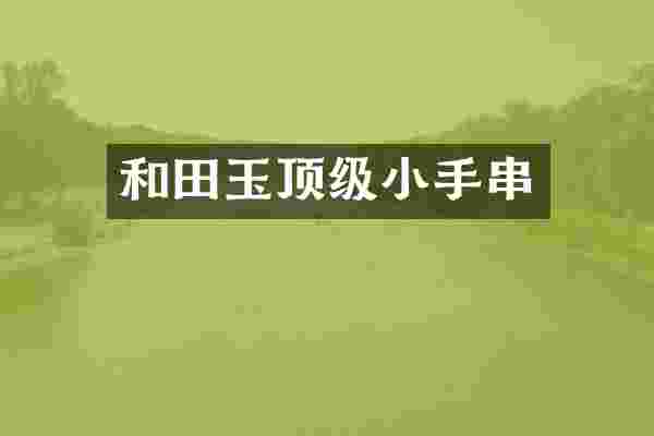 和田玉顶级小手串