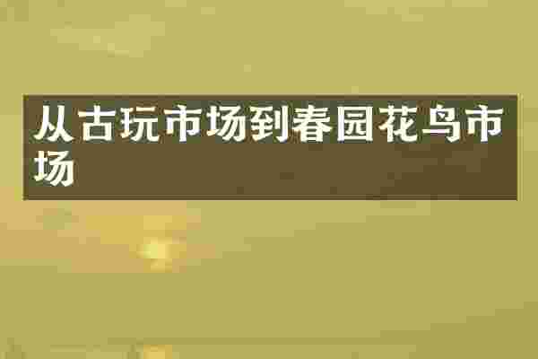 从古玩市场到春园花鸟市场