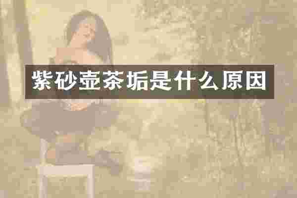 紫砂壶茶垢是什么原因