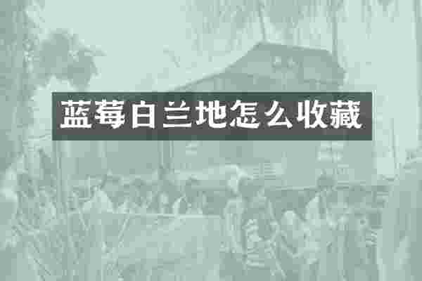 蓝莓白兰地怎么收藏