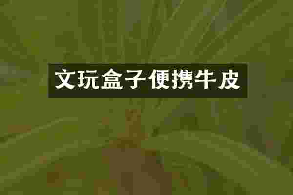 文玩盒子便携牛皮