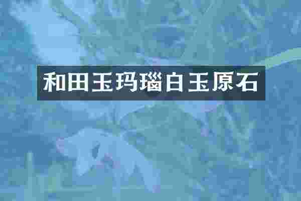 和田玉玛瑙白玉原石