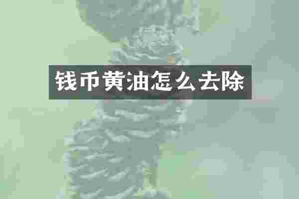 钱币黄油怎么去除