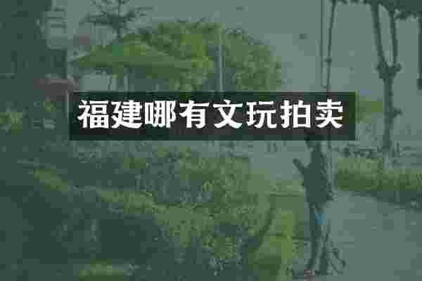 福建哪有文玩拍卖