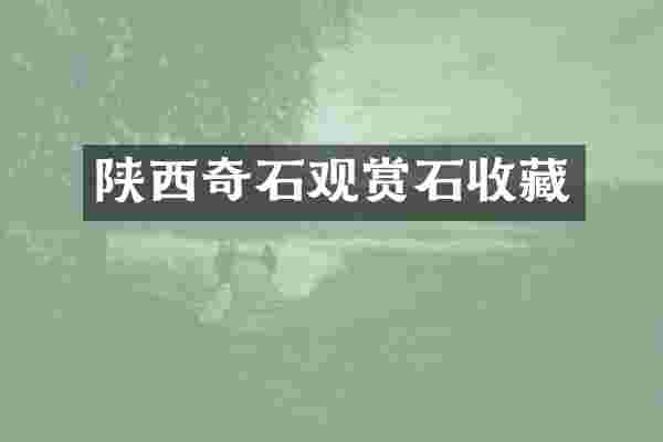 陕西奇石观赏石收藏