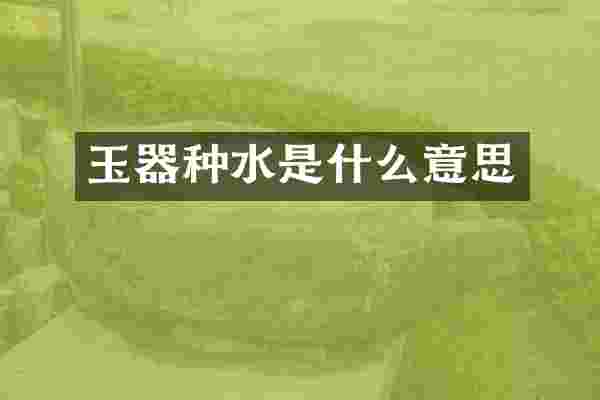 玉器种水是什么意思