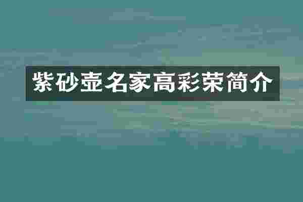 紫砂壶名家高彩荣简介